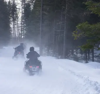 snowmobiles on trail in forest